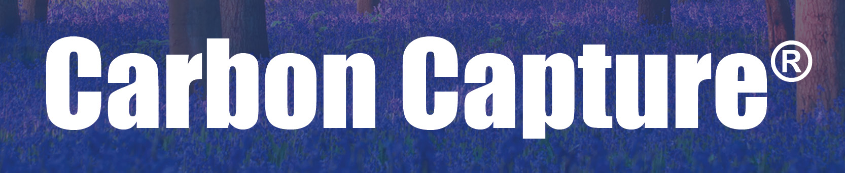 Carbon Capture